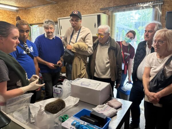 Creaves - Contribution pour l'achat d'une gazeuse afin de soigner les animaux sauvages – Image 3