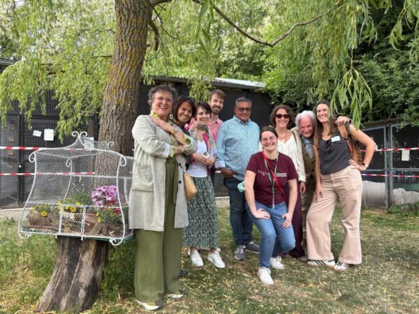 Creaves - Contribution pour l'achat d'une gazeuse afin de soigner les animaux sauvages – Image 5